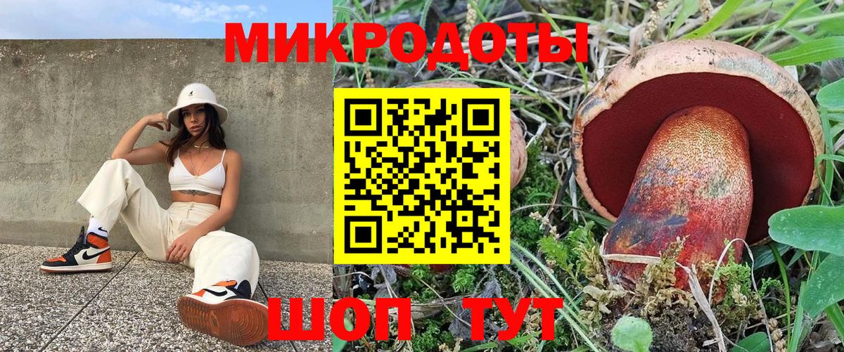 Псилоцибиновые грибы Cubensis  Вход с VPN  Псилоцибиновые грибы мухоморы  Тула 